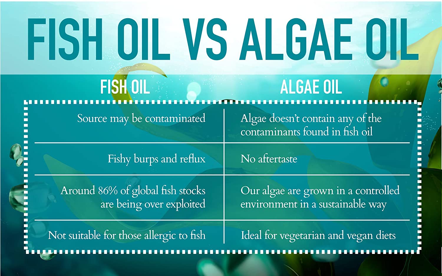 Omega 3 Vegano - Rite-Flex